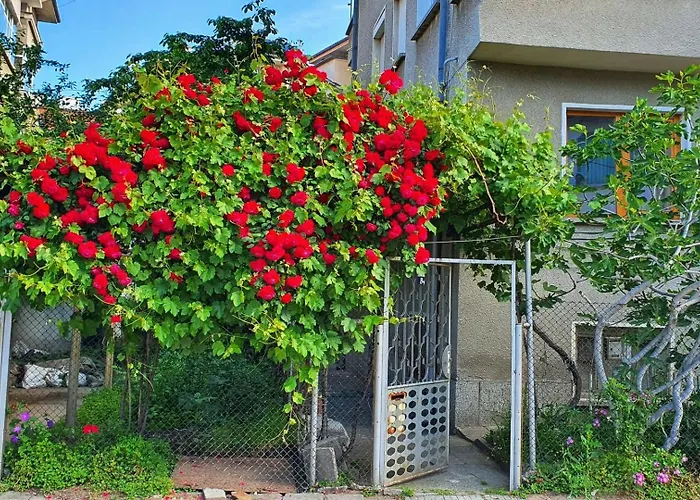 度假居 Paganini House Close To Center And Rowing Canal *