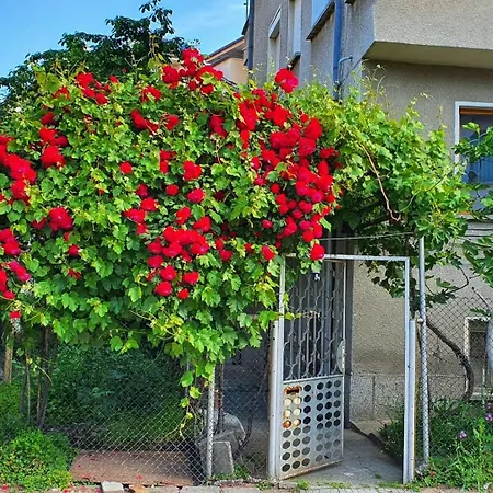 Vakantiehuis Paganini House Close To Center And Rowing Canal *